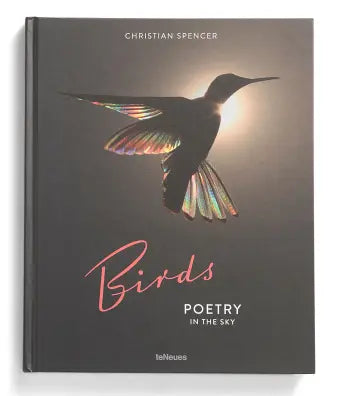 Birds Poetry In Theory Try A Prompt