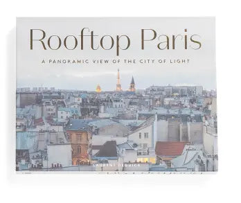 Rooftop Paris Try A Prompt