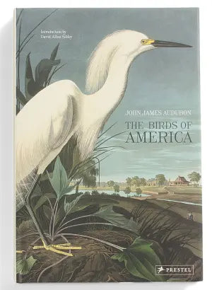 The Birds Of America Try A Prompt